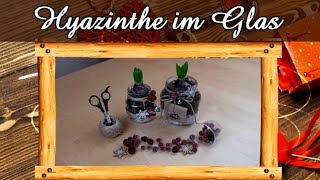 Hyazinthe im Glas  Frühlingsdeko  Geschenkidee  DIY [upl. by Olney954]