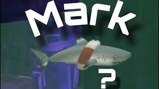 Is Mark The Shark Ok [upl. by Frey688]