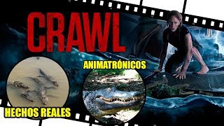 10 CURIOSIDADES que NO sabías de CRAWL  Infierno en la Tormenta 2019 [upl. by Derman114]