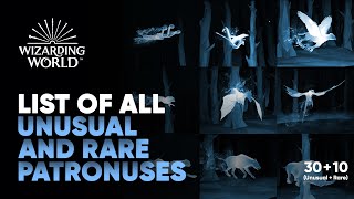 All Patronuses on Wizarding World Pottermore  Unusual amp Rare List  Hogwarts Legacy [upl. by Amery]