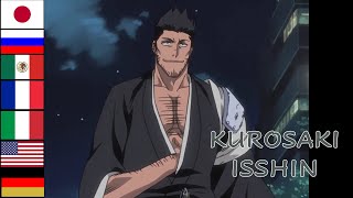 Kurosaki Isshin voice comparison BLEACH [upl. by Orfinger]