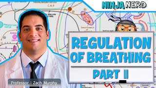 Respiratory  Regulation of Breathing Central amp Peripheral Chemoreceptors Part 2 [upl. by Elnore]