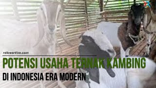 Potensi Usaha Ternak Kambing di Indonesia Era Modern [upl. by Kearney]