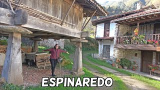 ESPINAREDO 4K el Pueblo de los HÓRREOS GIGANTES  9 Asturias  España [upl. by Ujawernalo]