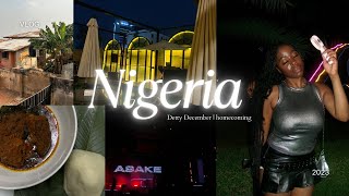 VLOG MY FIRST DETTY DECEMBER IN LAGOS  spa nightlife concerts restaurants  I met my family [upl. by Mandel]