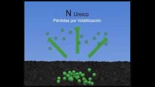 Fertilización líquida en Maiz con SolMIX [upl. by Sidoon]