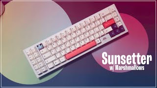 Sunsetter w Marshmallow Switches  Sound Test [upl. by Enitnatsnoc]