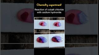 chemistry experiment  cobalt chloride with sodium hydroxide science scienceexperiment shorts yt [upl. by Killigrew771]