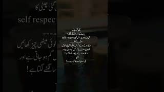 English urdu poetry poetrystatus poetry viralvideo urdupoetry tranding [upl. by Kameko]