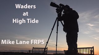 Photographing the High Tide Wader Roost at Snettisham [upl. by Ajoop]