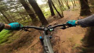 bennachie mtb trails [upl. by Eidnas]