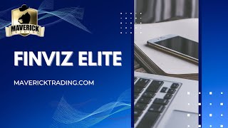 Finviz Elite  Trading Program [upl. by Kirch522]