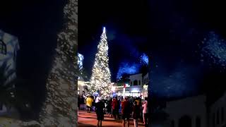 Disney Springs Holiday Tree [upl. by Atteiram]