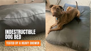 Bully Beds Review The Best Indestructible Dog Bed ChewProof Dog Bed [upl. by Einnaffit488]