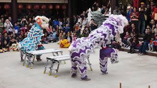 Chinese New Year 2018 Celebration at IBPS Temple in Austin TXDragon and Lion Dance [upl. by Honebein]