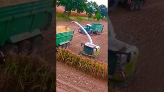 Agriculture toolings satisfying field youtubeshorts videoshort video [upl. by Essilem]