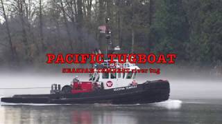 PACIFIC tugboat SEASPAN TEMPEST Fraser Fog 2017 [upl. by Enneiviv624]