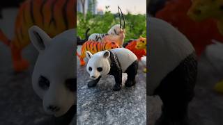 Zoo Wild Animal Cartoon Toy Figure Set [upl. by Loralie105]