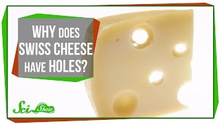 Why Does Swiss Cheese Have Holes [upl. by Pennie]