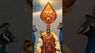 Kaalai Ilangathir song Sirkazhi Govindarajan devotionalsongs godsong murugasongs tamilgodsongs [upl. by Elroy]