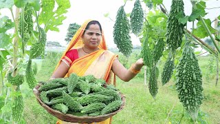 करेला का भरवां कलौंजी इस तरीके से बनाओगे तो एक हफ्ते तक खाओगे  Karela ka Bharwan kalonji Recipe [upl. by Anilorak848]