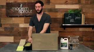 Modern Sprouts 3 Pot Hydroponic Planter  Setup Video [upl. by Asena]