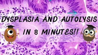 Dysplasia and Autolysis Pathology in 8 Minutes [upl. by Ydarb]