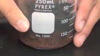 Copper SulfateZinc Reaction [upl. by Gotthard]