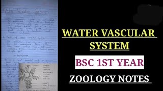 Water vascular system in Echinoderm bsc 1st year notes vbu bbmku watervascularsystemnotes [upl. by Airelav]