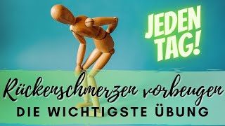 Rückenschmerzen vorbeugen  die wichtigsten Übungen Top 3 Übungen LWS  Prävention Kreuzschmerz [upl. by Christabelle742]