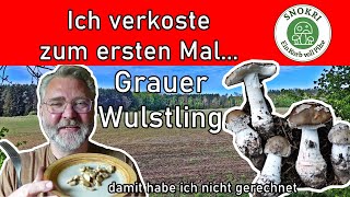 Pilze zum ersten Mal verkosten  Grauer Wulstling  damit habe ich nicht gerechnet [upl. by Lumbard]