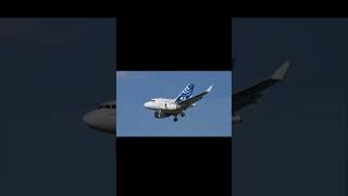 All the baby planes I found Extended version planes youtube funny aviation memes shorts edit [upl. by Nnyloj421]