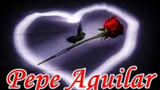 Pepe Aguilar  El Amar Y El Querer [upl. by Htbazile]