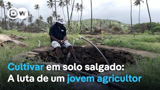 Cultivar em solo salgado A luta de um jovem agricultor em Cabo Verde [upl. by Matthiew639]