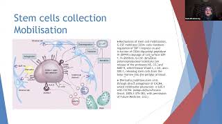 Hematopoietic stem cell transplantation [upl. by Robinson]