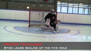 Breakaway Video Goaltending [upl. by Adlai384]