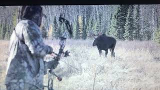 One of the Greatest Alberta Moose Bow hunts of all time with Ryan Harder [upl. by Bixler704]