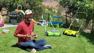 How To Use An Electric Dethatcher On Your Lawn [upl. by Babs]