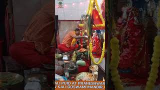 KALI PUJO AT PRANESHWARI SHIV KALI MANDIR🙏🙏 [upl. by Salohcim]