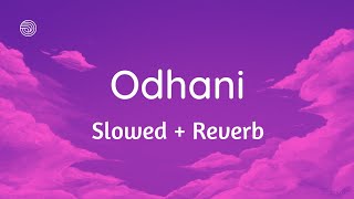 Odhani odh ke nachu SlowedReverb  Tere Naam [upl. by Erline]