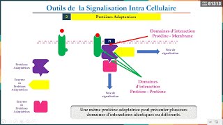 Leçon 9  Outils de la signalisation Intracellulaire 2  Protéines Adaptatrices [upl. by Simon]