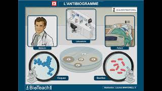 Tout savoir et comprendre sur lantibiogramme → Version longue ← [upl. by Elohcin]