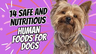 14 Safe and Nutritious Human Foods for Dogs [upl. by Nawyt]