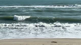 Atlantic beach coconut point melbourne beach florida zenbeachseconds [upl. by Razec48]