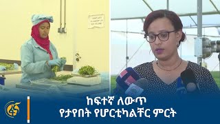 ከፍተኛ ለውጥ የታየበት የሆርቲካልቸር ምርት [upl. by Liddle731]