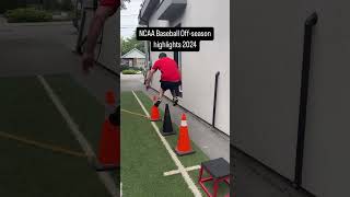 NCAA Baseball Offseason training 2024 [upl. by Sephira]