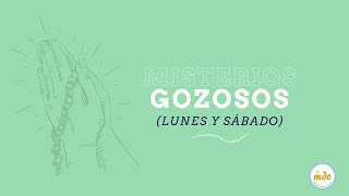 Misterios Gozosos  Lunes y Sábados versión corta Santo Rosario 2020 [upl. by Annmaria]