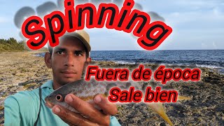 PESCA de RABIRUBIA con SEÑUELO Pequeño 🇨🇺🇨🇺 [upl. by Haronid]