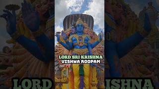 Lord Sri Krishna VishwaRoopam In Kurukshetra srikrishna lordkrishna kalki kalki2898ad vishnu [upl. by Ecnahs91]