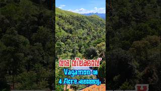 4 Acre Cardamom Plantation for Sale  Vagamon vagamon vagamonhills resort realestate kochi [upl. by Ydualc]